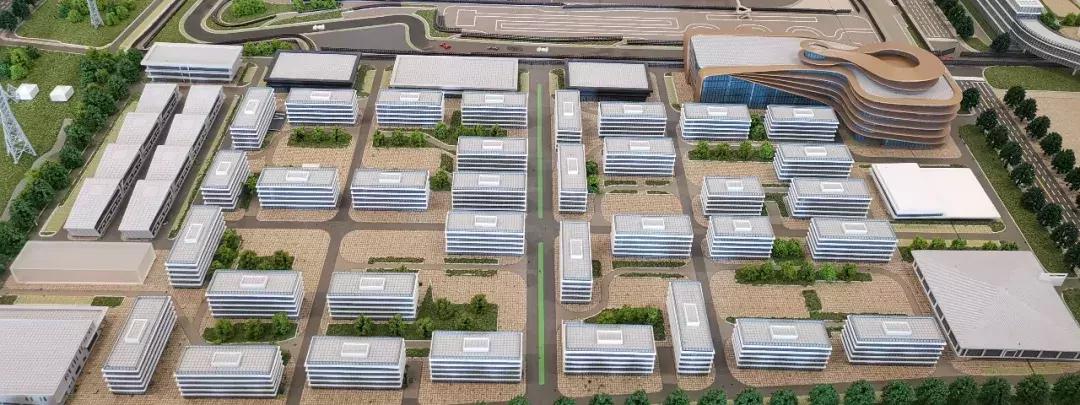 如果当年你投资了佛罗伦萨小镇（附院长真容）...