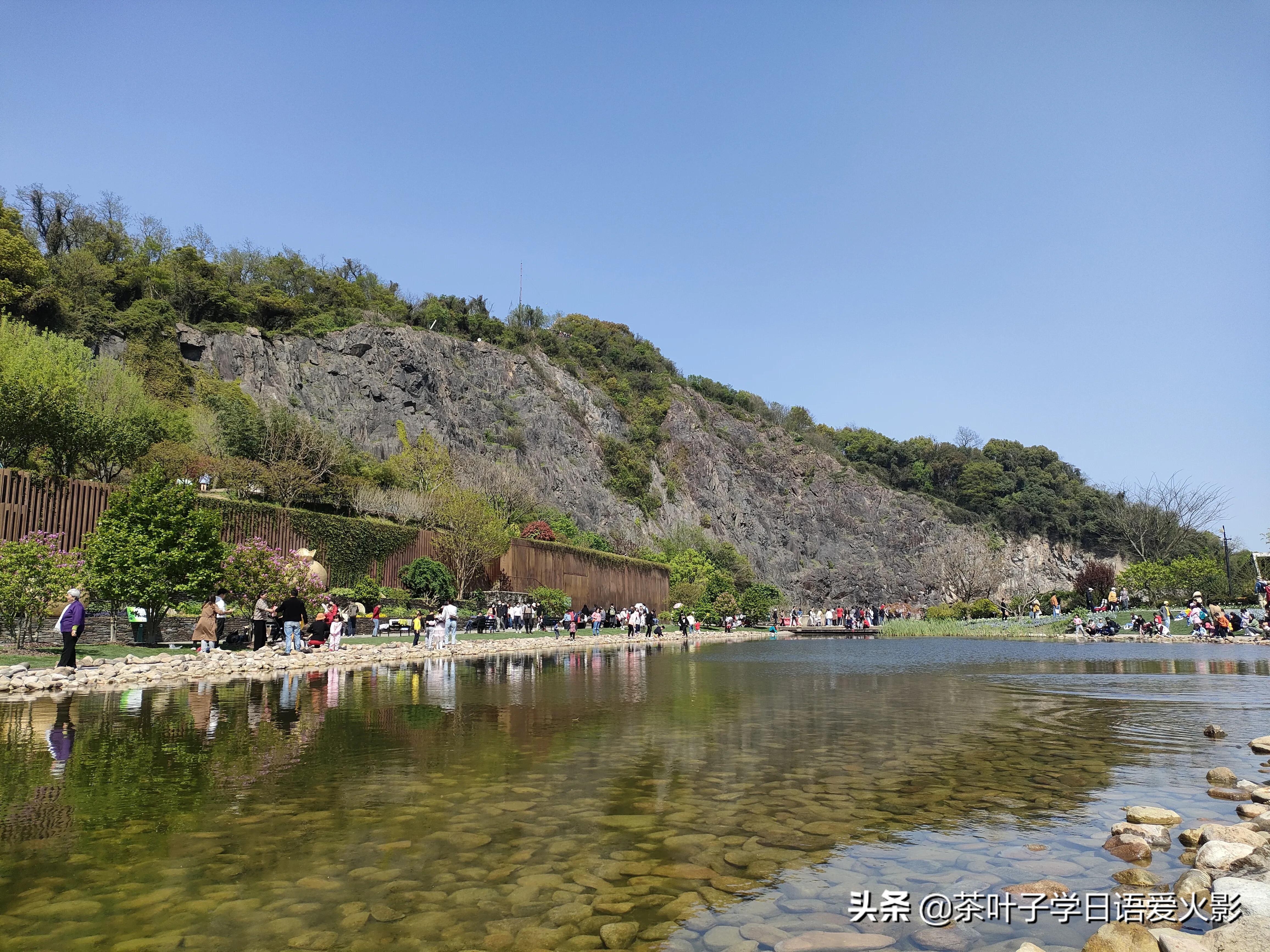 春天踏青适合去哪里玩,春天去上海辰山植物园攻略
