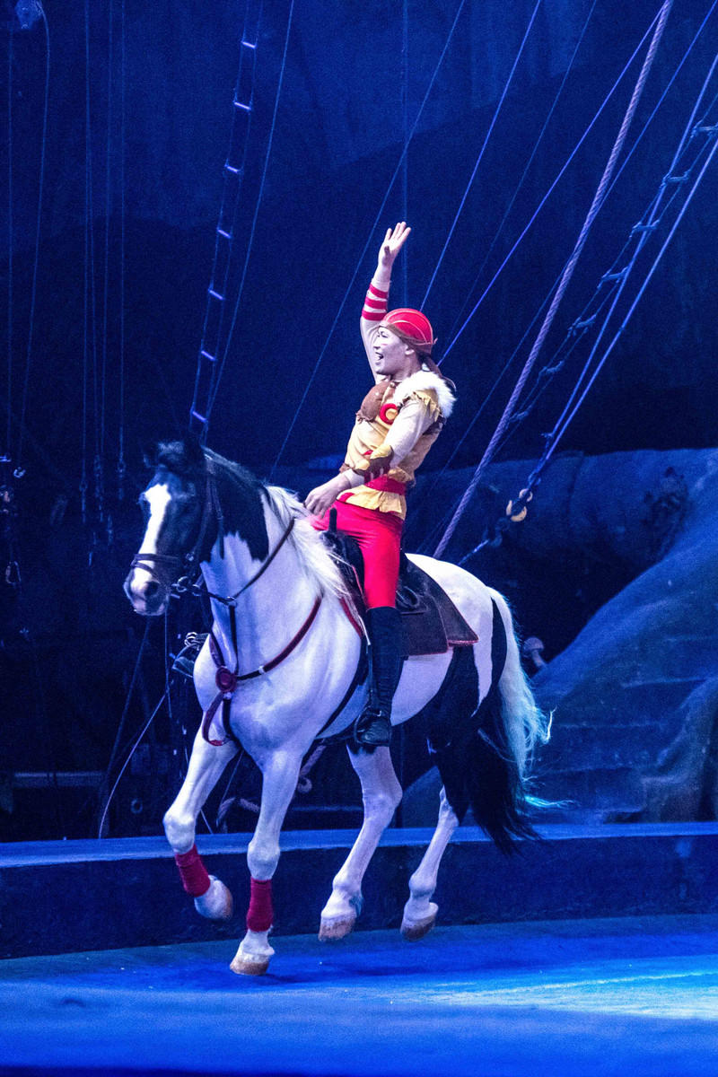 广州长隆野生动物世界旅游攻略,长隆野生动物世界攻略2-3天广州游