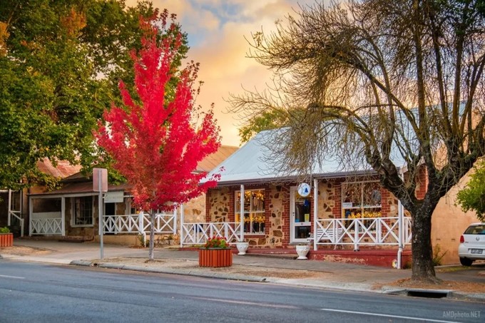 让黄晓明上瘾的南澳大利亚，到底有什么魔力？