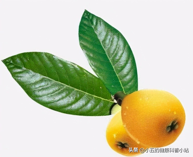 哪些咳嗽适合用蜜炼川贝枇杷膏,聊一聊感冒后的咳嗽