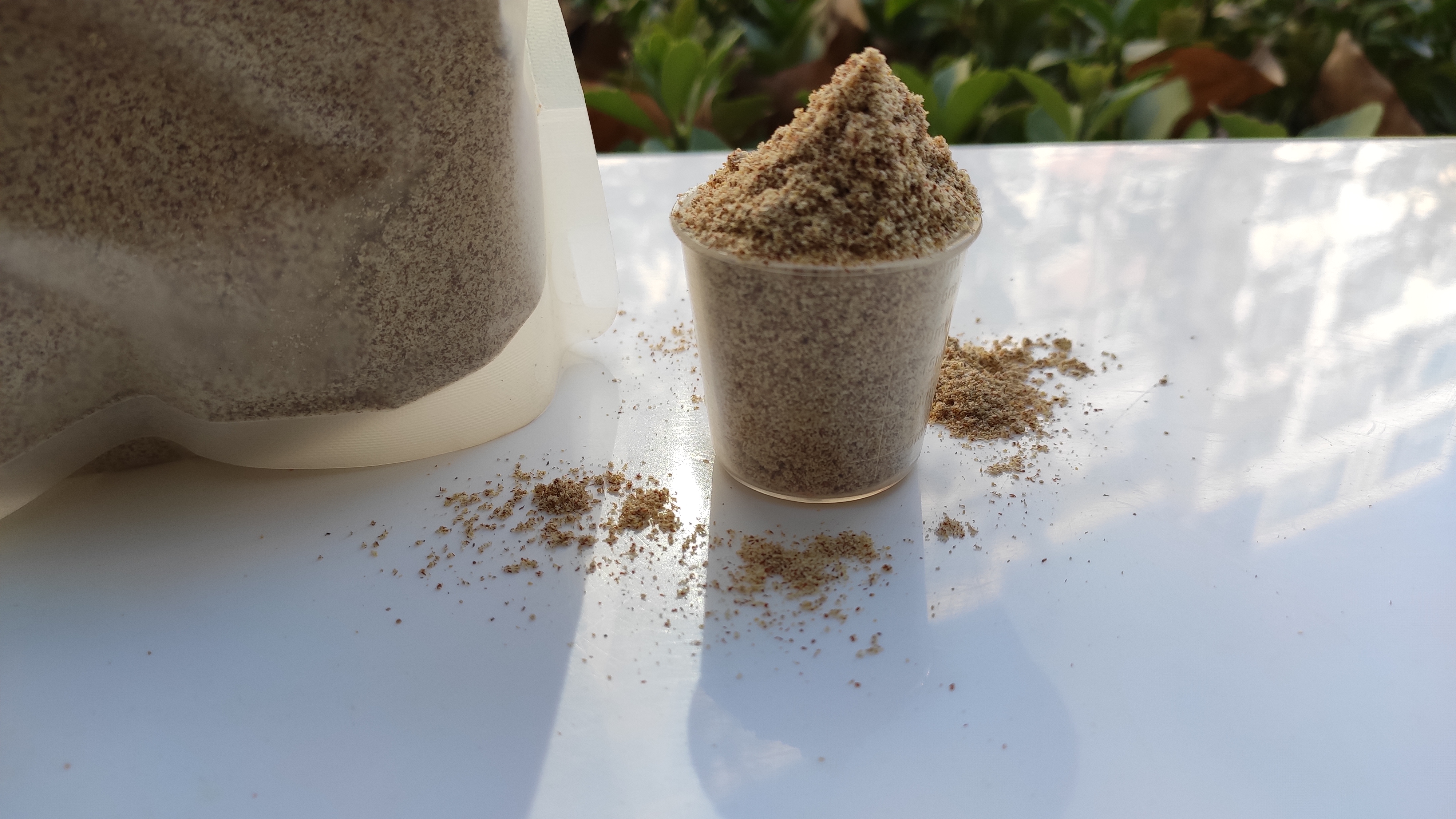 秋末初冬钓鲫鱼中午怎么突然停口,夏天鲫鱼钓着钓着停口怎么回事