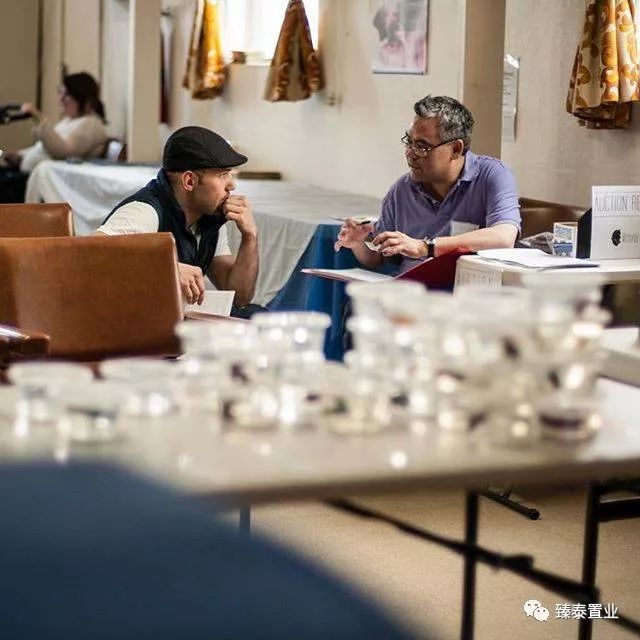 暹罗斗鱼——色与美的战舞