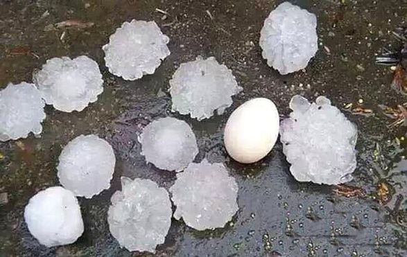 冬天钓鱼闹窝怎么解决,钓鱼躲避闹窝技巧