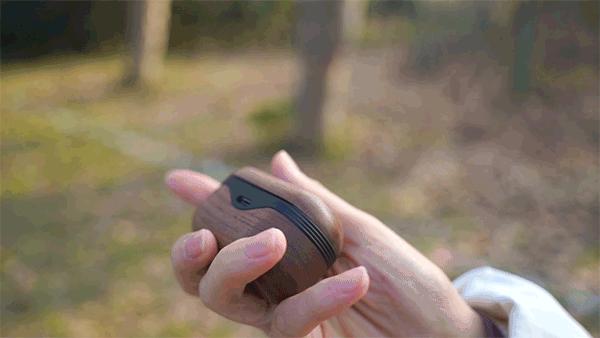 一个耳机盒有两种耳机,一个耳机盒