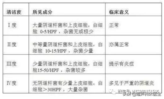 阴道清洁度如何解读？出现异常如何治疗和预防？