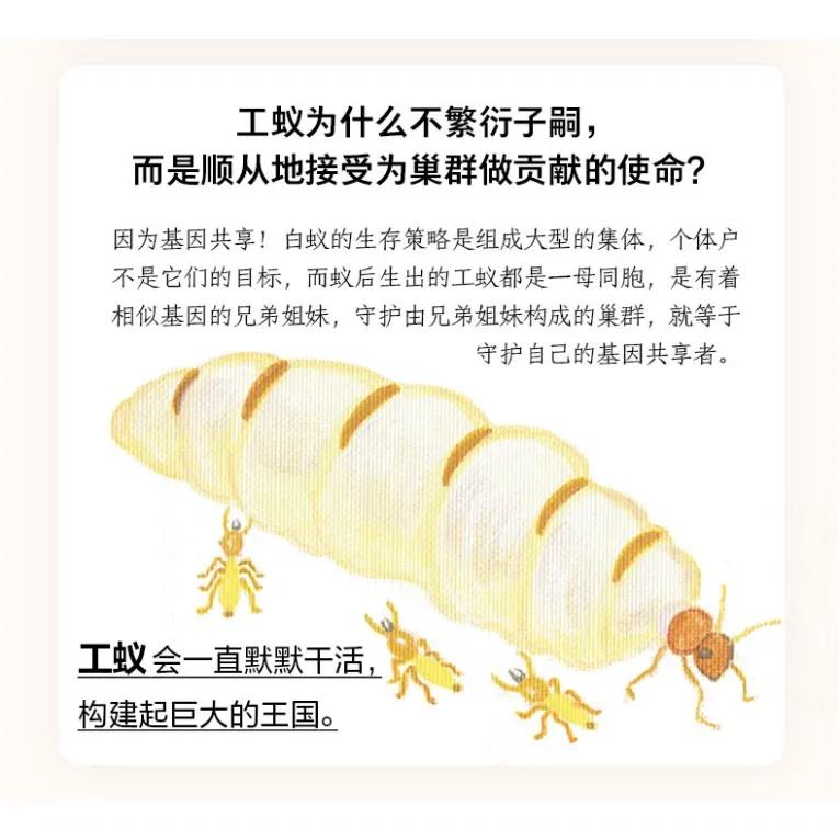 日本关于生死的书,日本动物的生死书