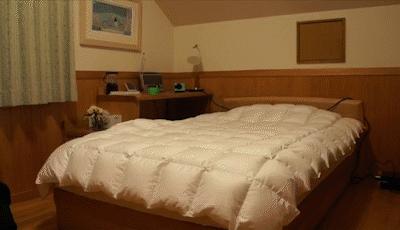 日本进口除甲醛神器强力型,日本光触媒除甲醛