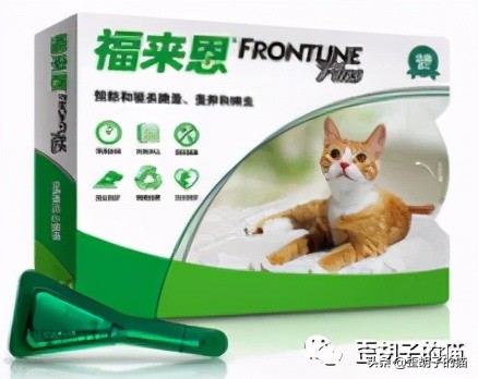 猫咪体外驱虫药哪个牌子好,驱虫最全的猫咪外驱