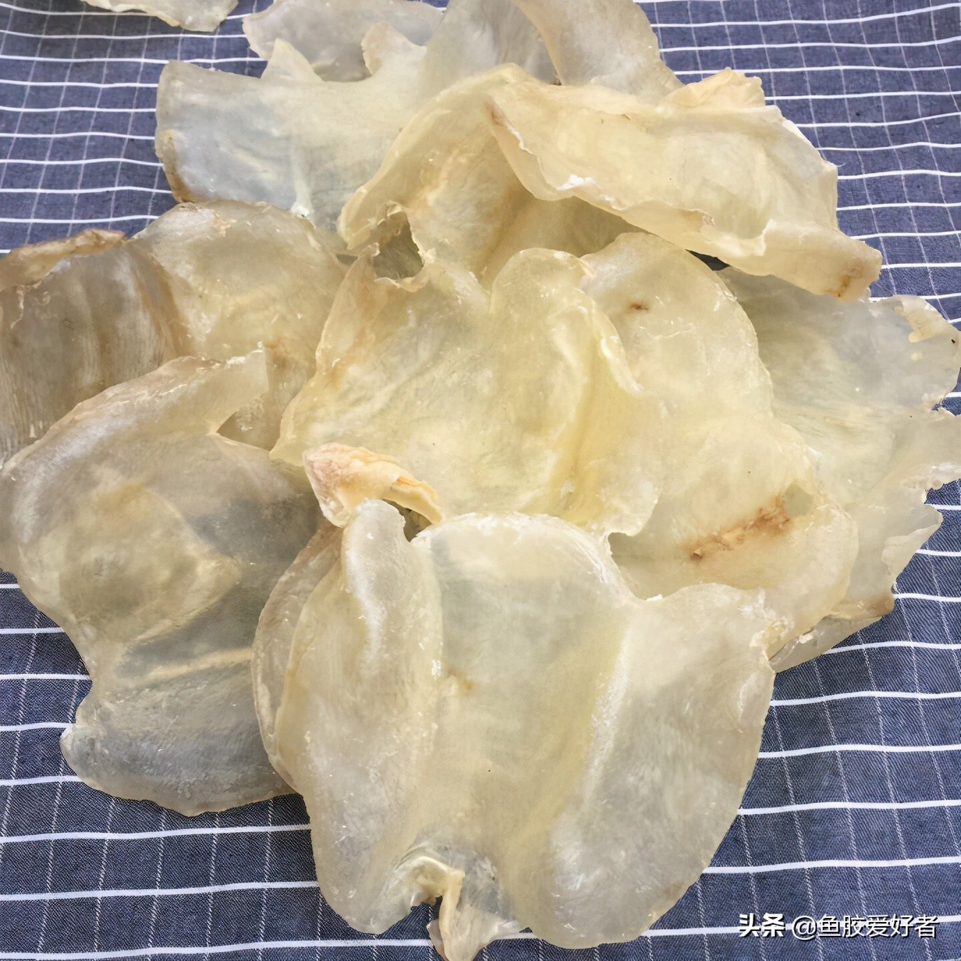 鱼胶正确的泡发方法和做法,鱼胶的制作方法最正宗