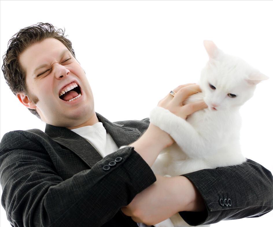 小猫咪总是喜欢咬人怎么训练,如何改掉猫咪爱咬人抓人的习惯