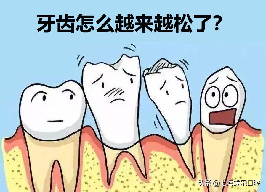 换牙期旧牙快速松掉办法,怎样让松了的牙齿掉下来