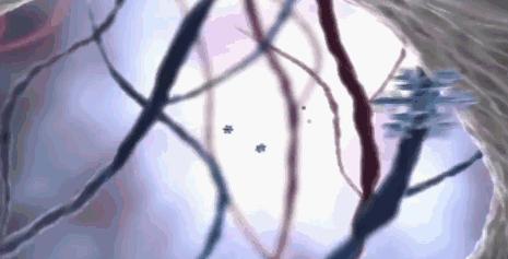 李佳琦嚼的牙膏,李佳琦亲享口香糖牙膏