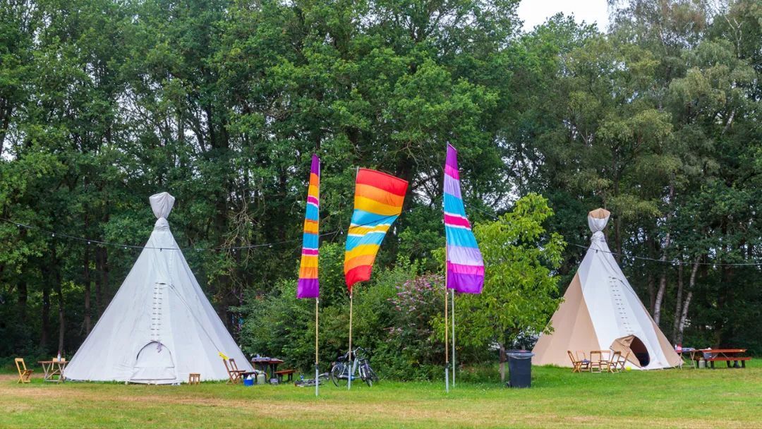 北京青龙湖湿地公园最新消息,北京青龙湖湿地公园现在开放吗