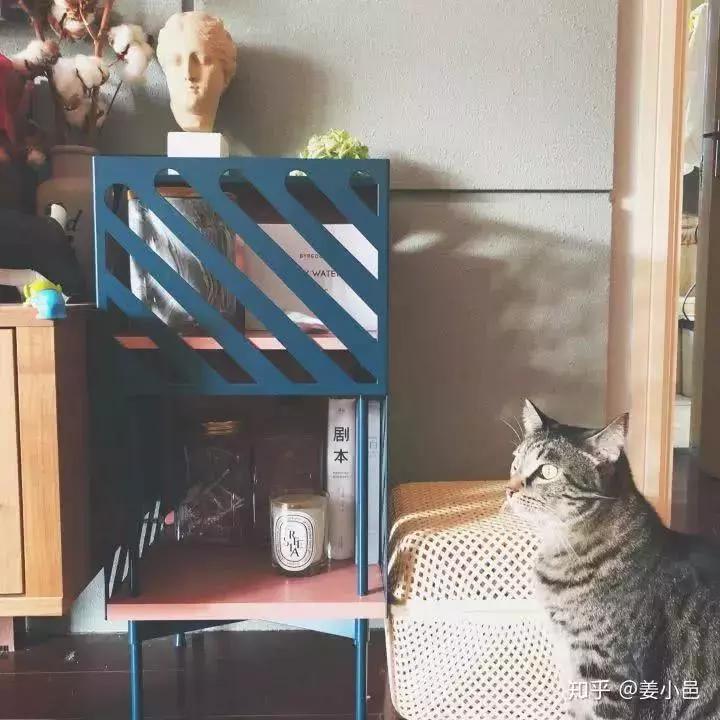 高端家居设计怎么省钱,最好的家居设计是怎样的