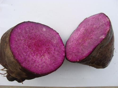 闲侃,闲侃餐桌上的百科知识300条