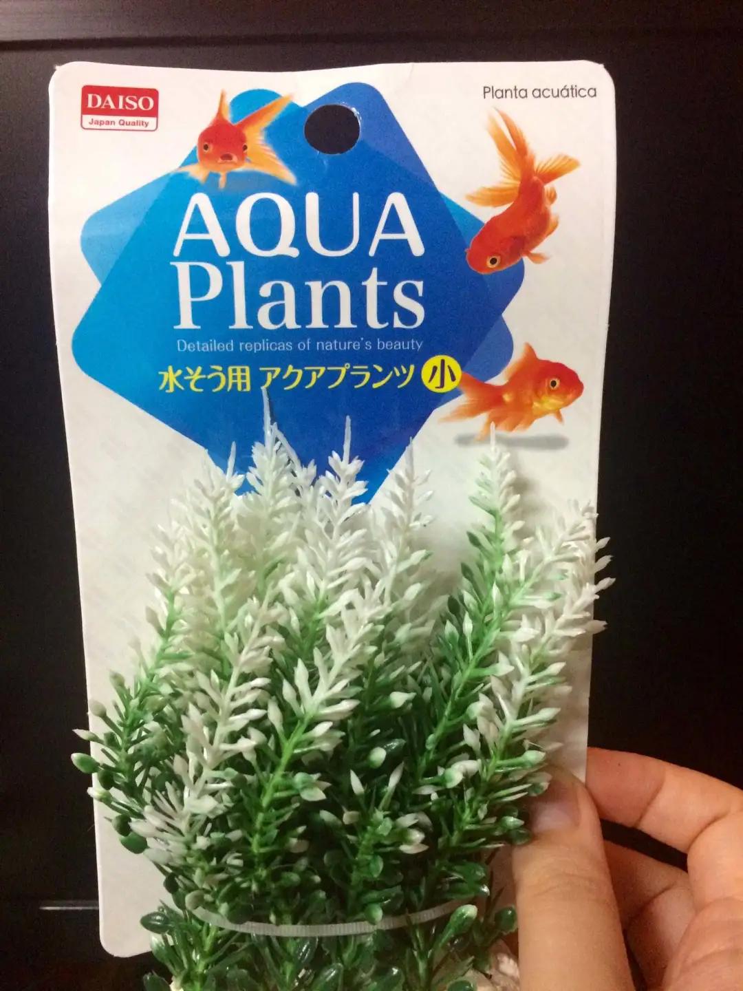 67年了，他还是干架圈唯一顶流！宇宙无敌大哥总