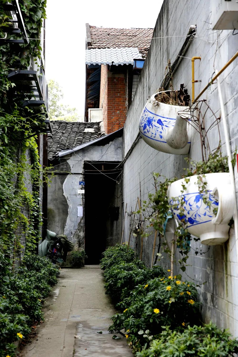 津门网金熙男:洛带印象