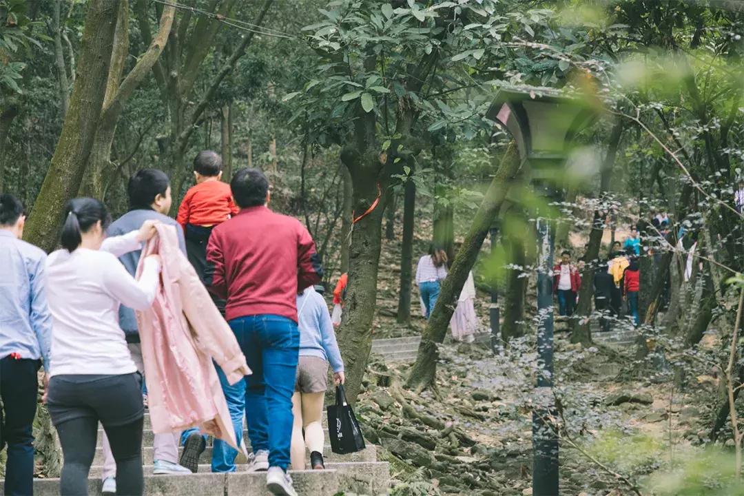 深圳这座城市很美,深圳这座城市风景太美了