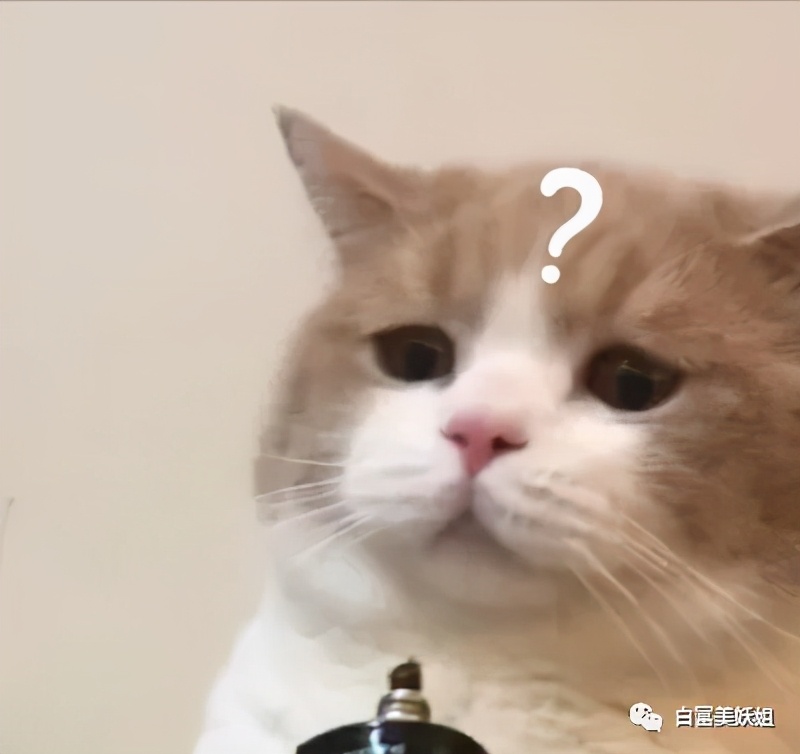 天涯贵妇楼第一美消失之谜