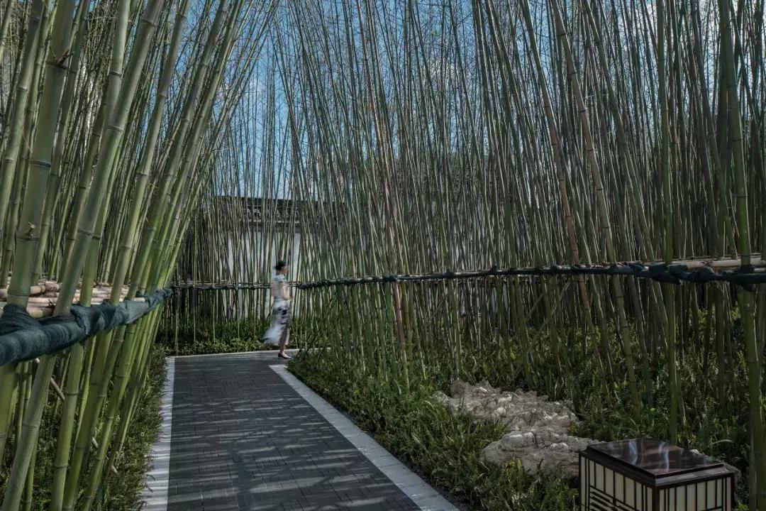 蓝光重庆芙蓉公馆,重庆蓝光芙蓉公馆附近规划图