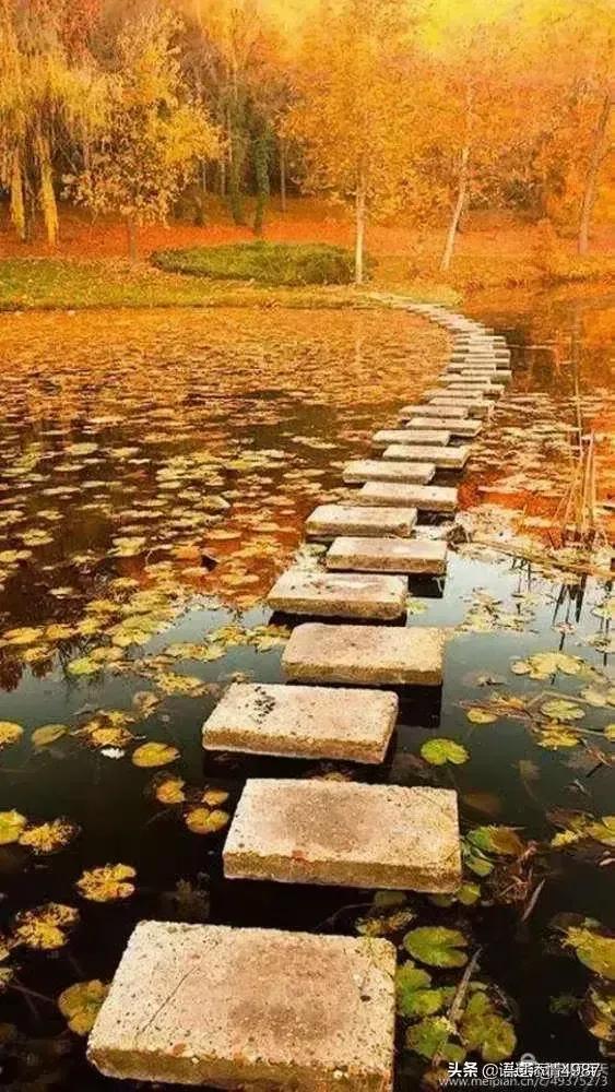 浜︾劧鍏ㄩ儴灏忚,浜︾劧灏忚鍏ㄦ枃鍏嶈垂闃呰