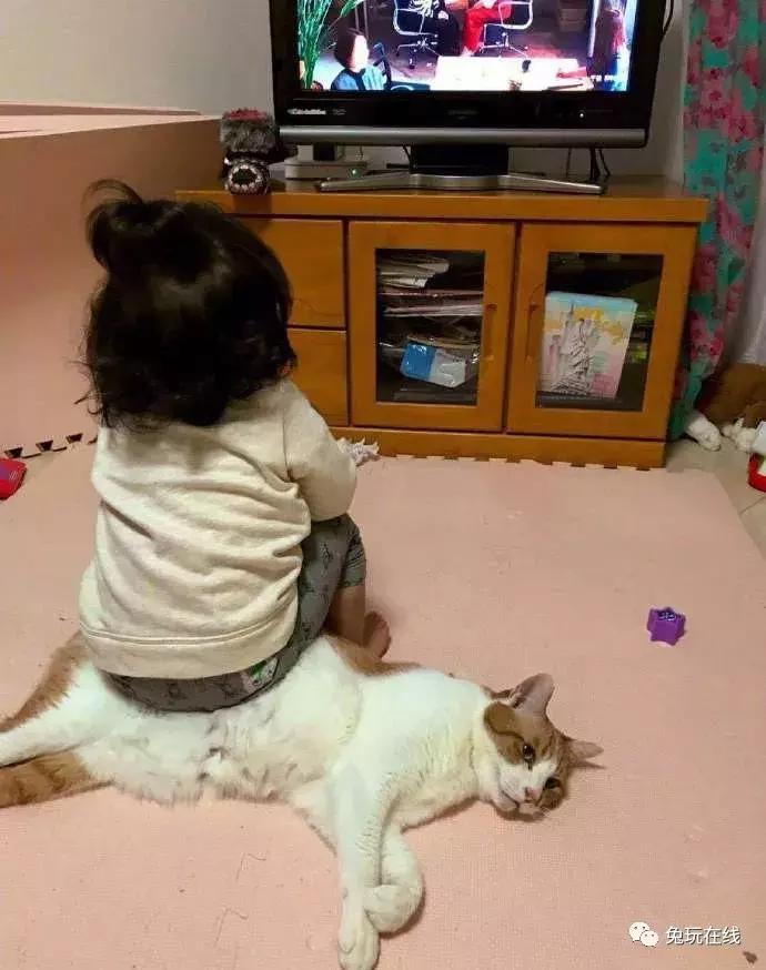 如果你的生命只剩5秒你会做什么,如果只剩下5秒时间你会做什么