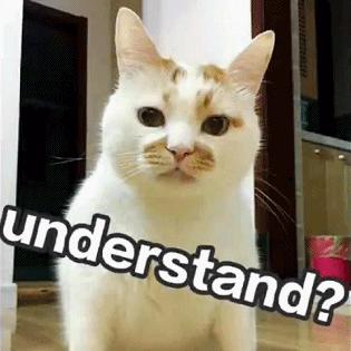 猫咪大了还容易感染猫瘟吗,猫咪不外出被抓伤会得狂犬病吗