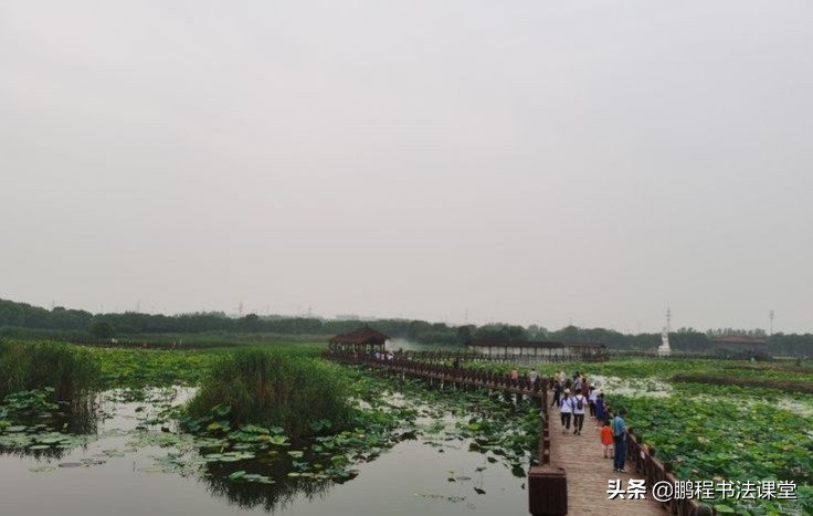 莲池湖公园赏荷花攻略,荷塘月色湿地公园最佳赏荷时间