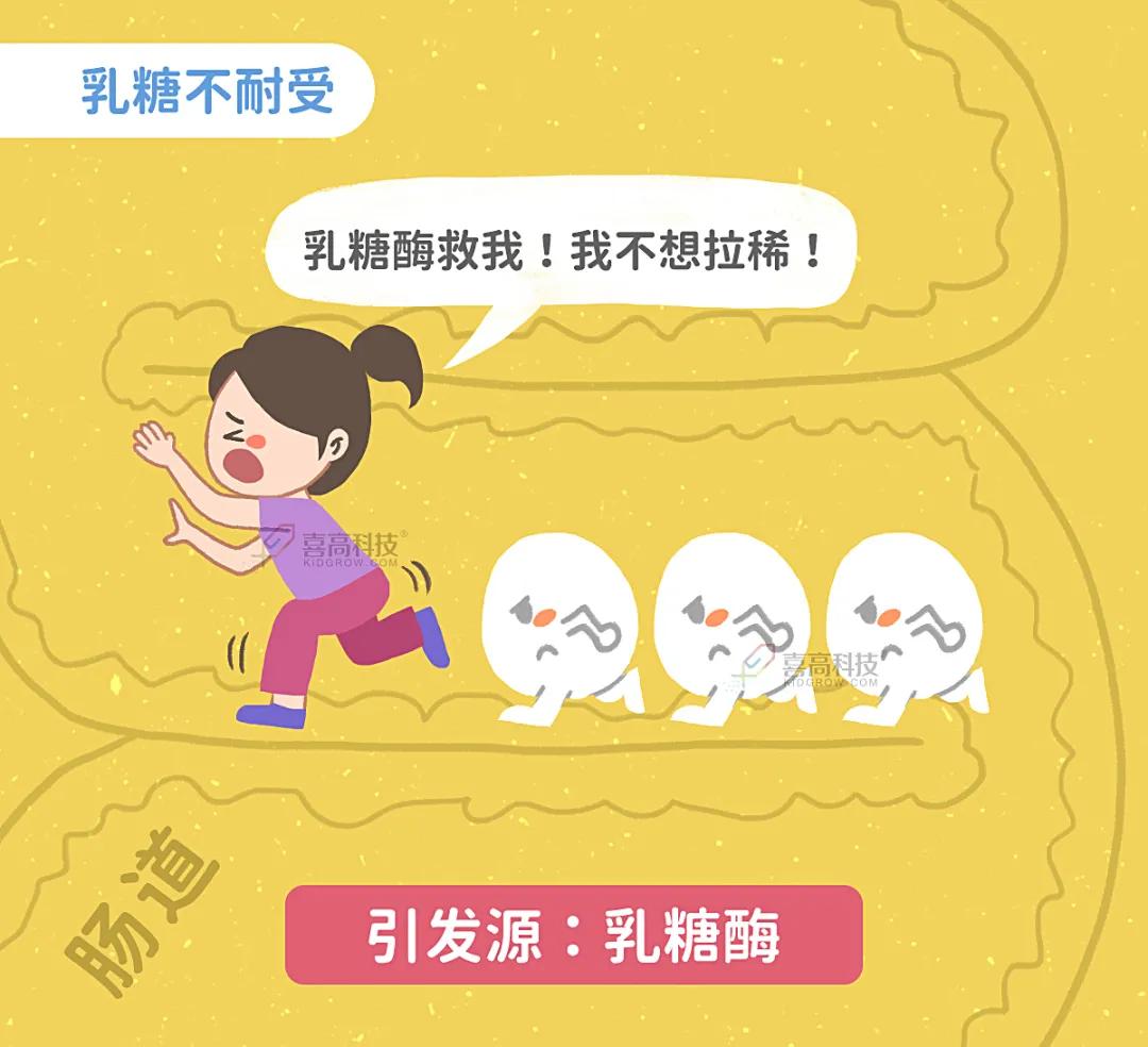 喝纯牛奶会拉肚子是过敏吗,喝牛奶就拉肚子算是过敏吗