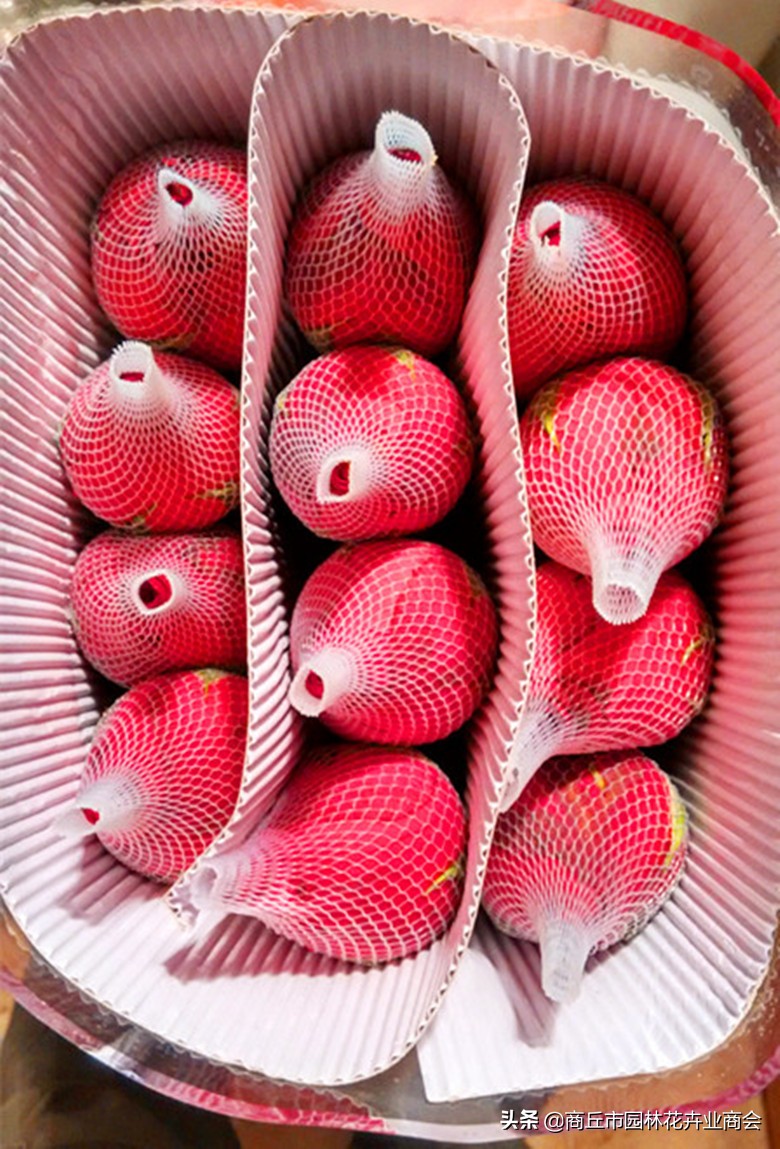 鲜花店卖的玫瑰,鲜花店卖玫瑰花