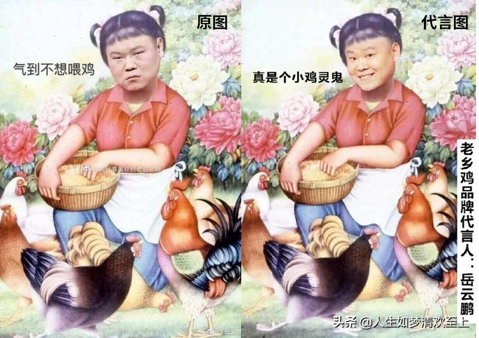 岳云鹏代言老乡鸡了吗 (岳云鹏吃老乡鸡排队)