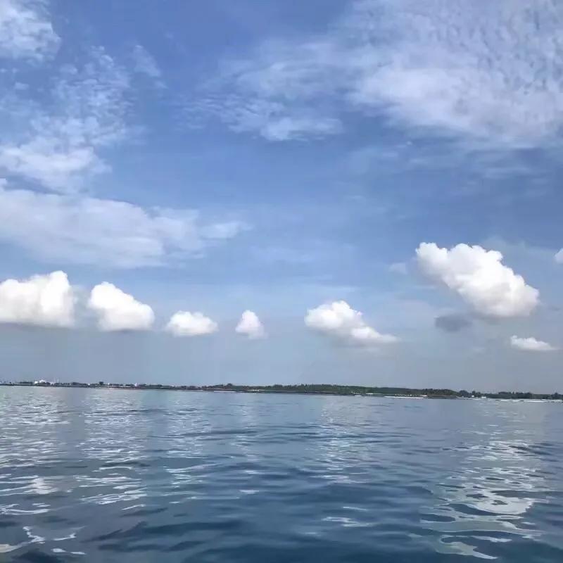 当陷入两难的境地该如何抉择,当陷入两难抉择的时候该怎么办