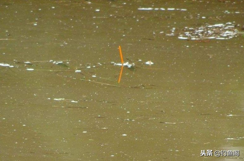 鱼竿太长看不清浮漂怎么办,鱼竿太长提不动怎么办