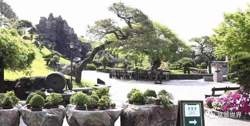 走进韩国思索之苑，这里算得上世界最美的庭园吗