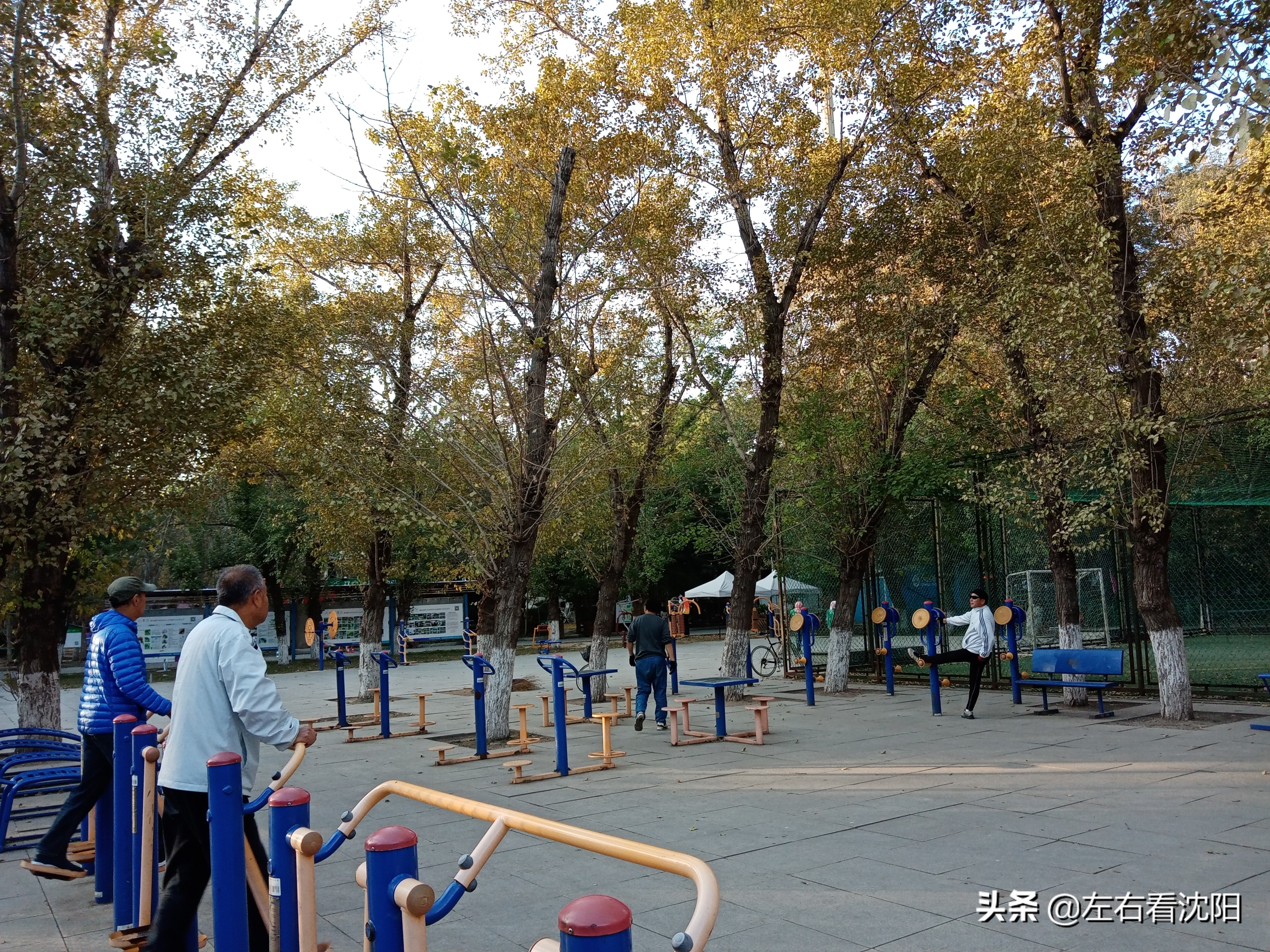 沈阳沈水湾公园看日出,沈阳浑河看海的地方