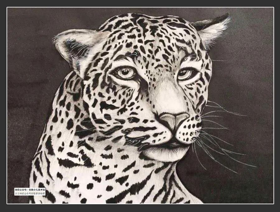 素描绘画素材9-12岁,素描基础绘画教程创意素描