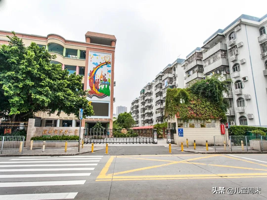 扒一扒深圳的知名小学福田,扒一扒军事化管理学校