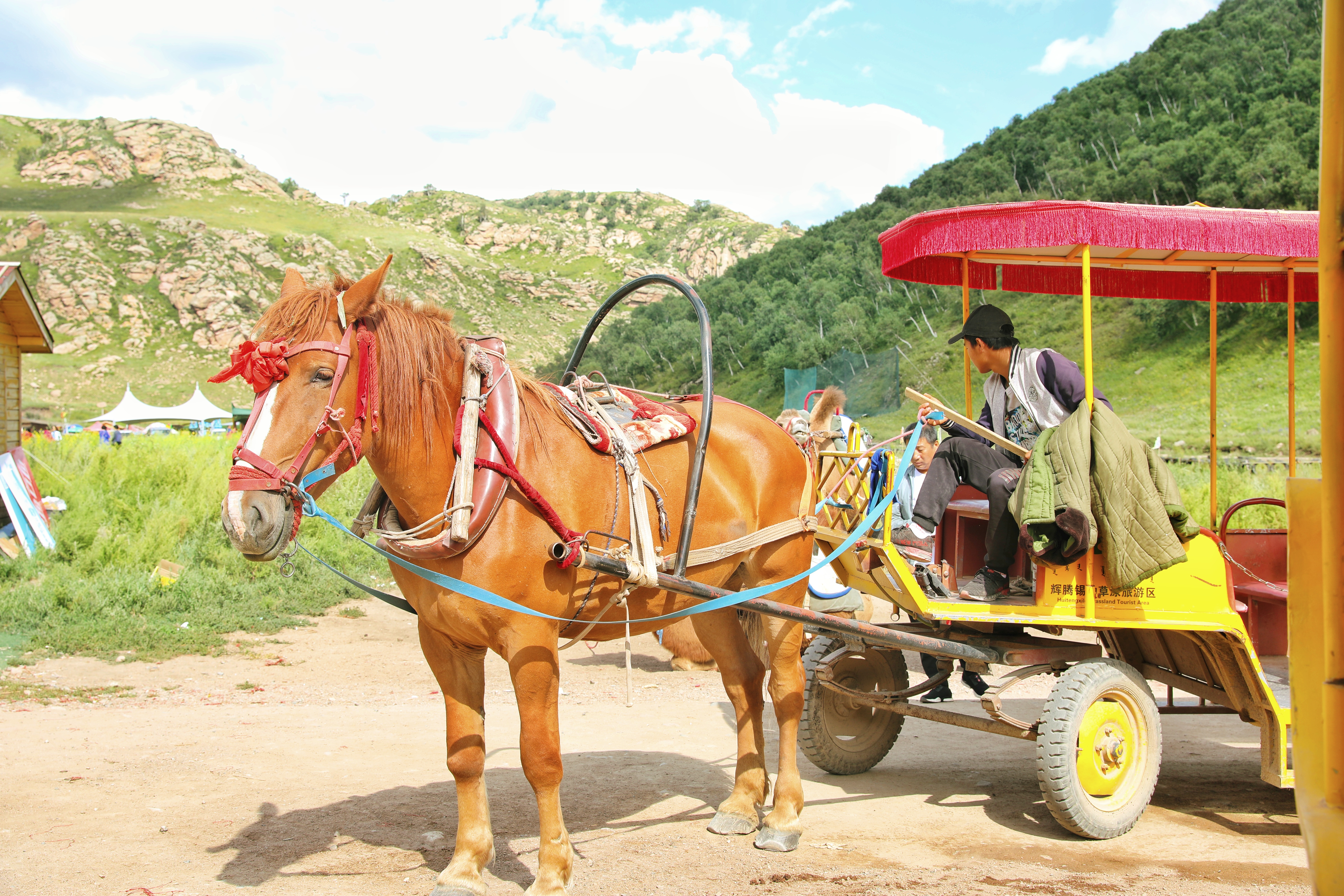 辉腾锡勒黄花沟草原自驾游,辉腾锡勒草原黄花沟旅游攻略