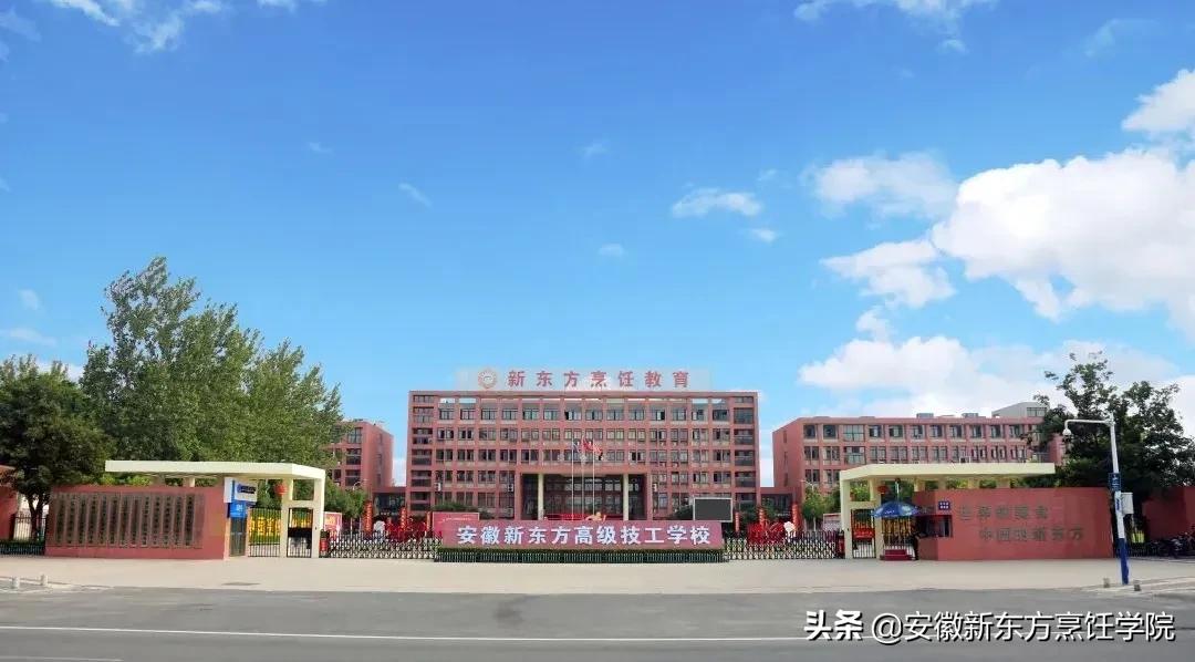 学烹饪技术的技巧,学习烹饪学到了什么