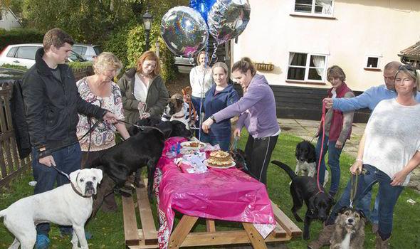 养狗有助于治疗抑郁症吗,养狗还是养猫能治抑郁症