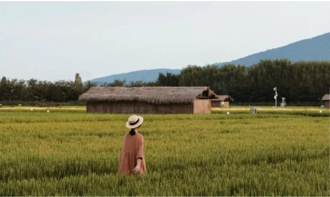 距离杭州45min的县城，竟藏着个“小新西兰”，趁人少快去