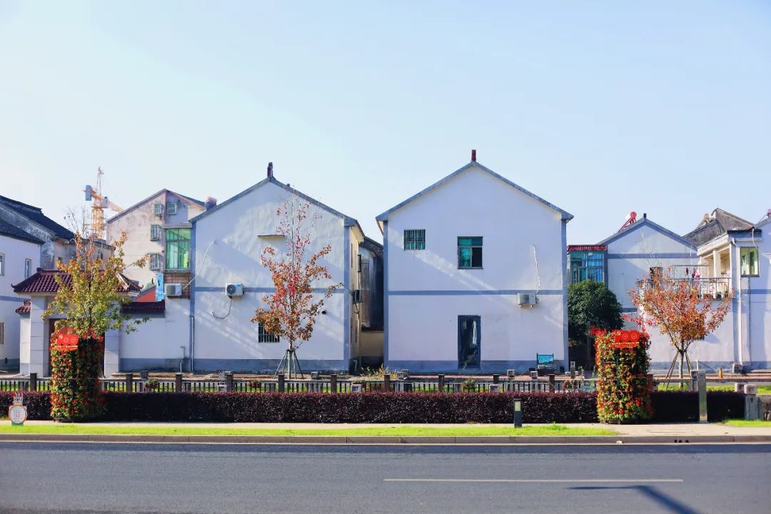 卖出1000多碗羊肉面,每天卖四五百斤羊肉