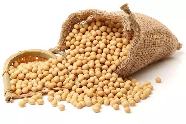 该如何选水稻、玉米、小麦、大豆种子，看这里！