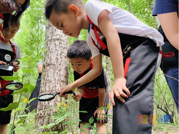周末游玩避暑尽在密云清凉谷,北京密云冬天游玩攻略