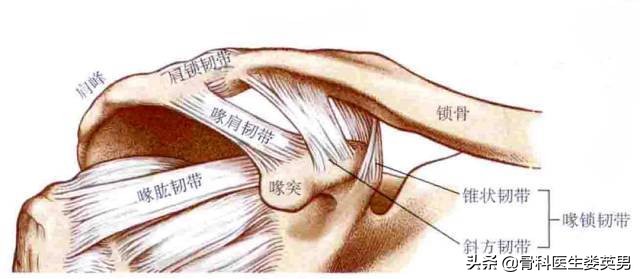 武磊左肩骨错位韧带撕裂,武磊首次回应左肩伤势