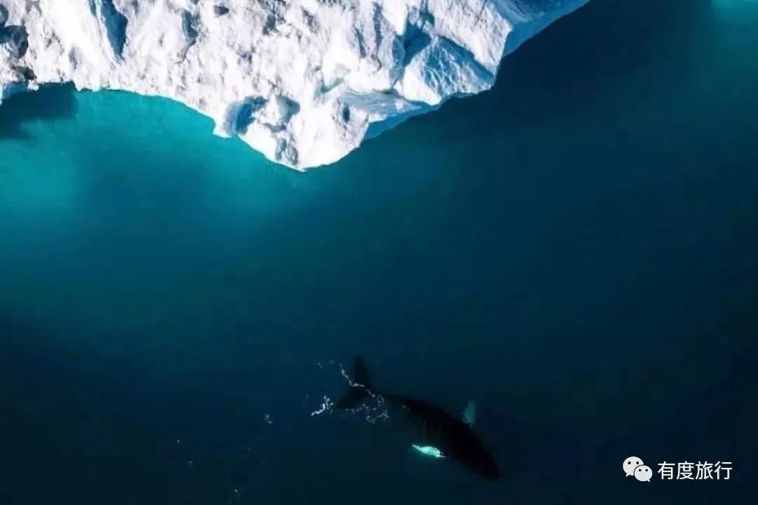 格陵兰|人间最后的纯净之地——格陵兰岛之行前必读