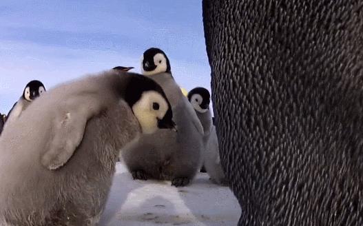 喜羊羊与灰太狼原始世界纪录片,喜羊羊与灰太狼每部片讲述的道理