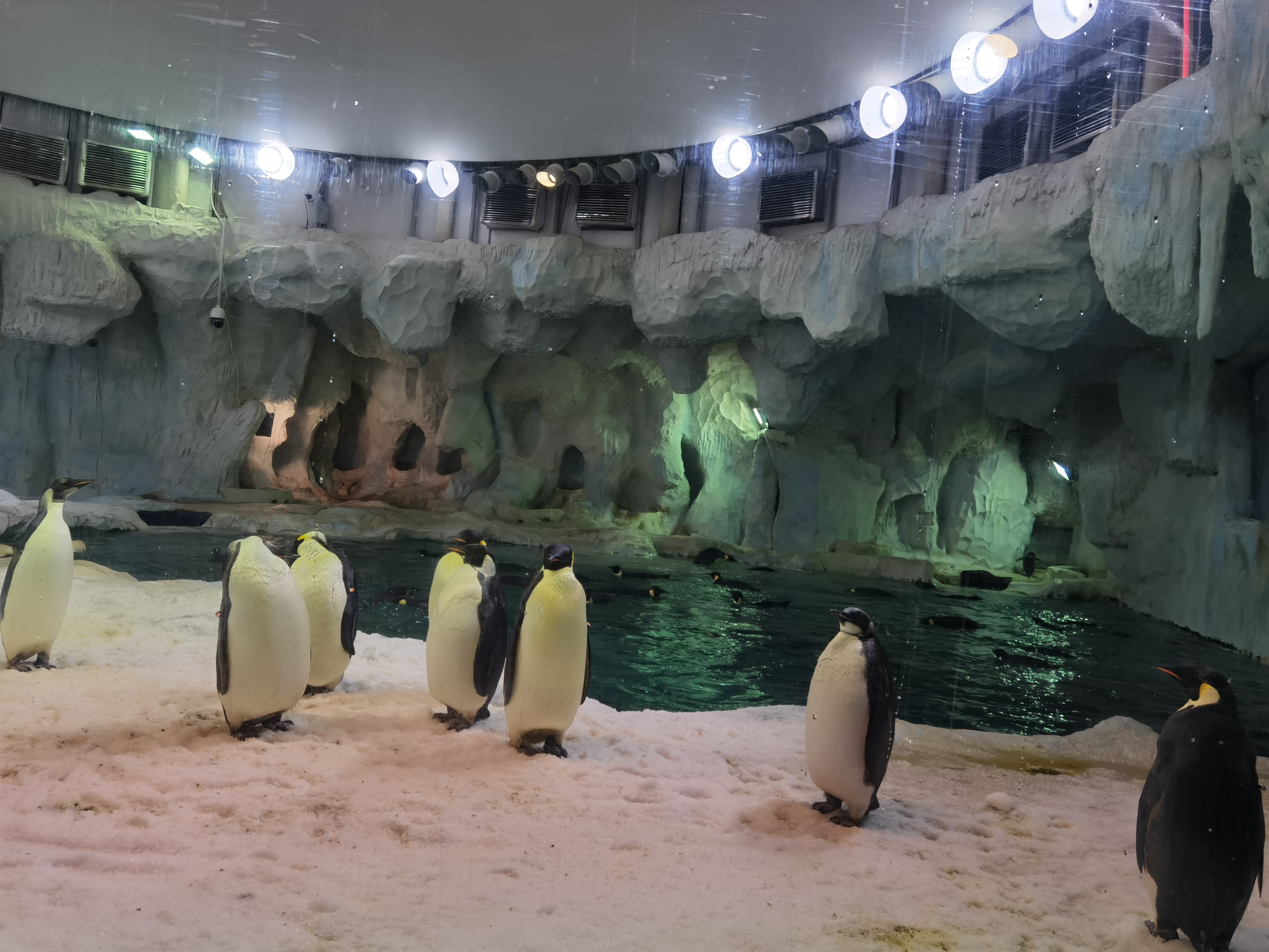 珠海长隆海洋王国回本攻略,珠海长隆海洋王国一天能玩转吗