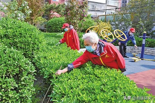 抓老鼠除蟑螂,灭四害捉老鼠